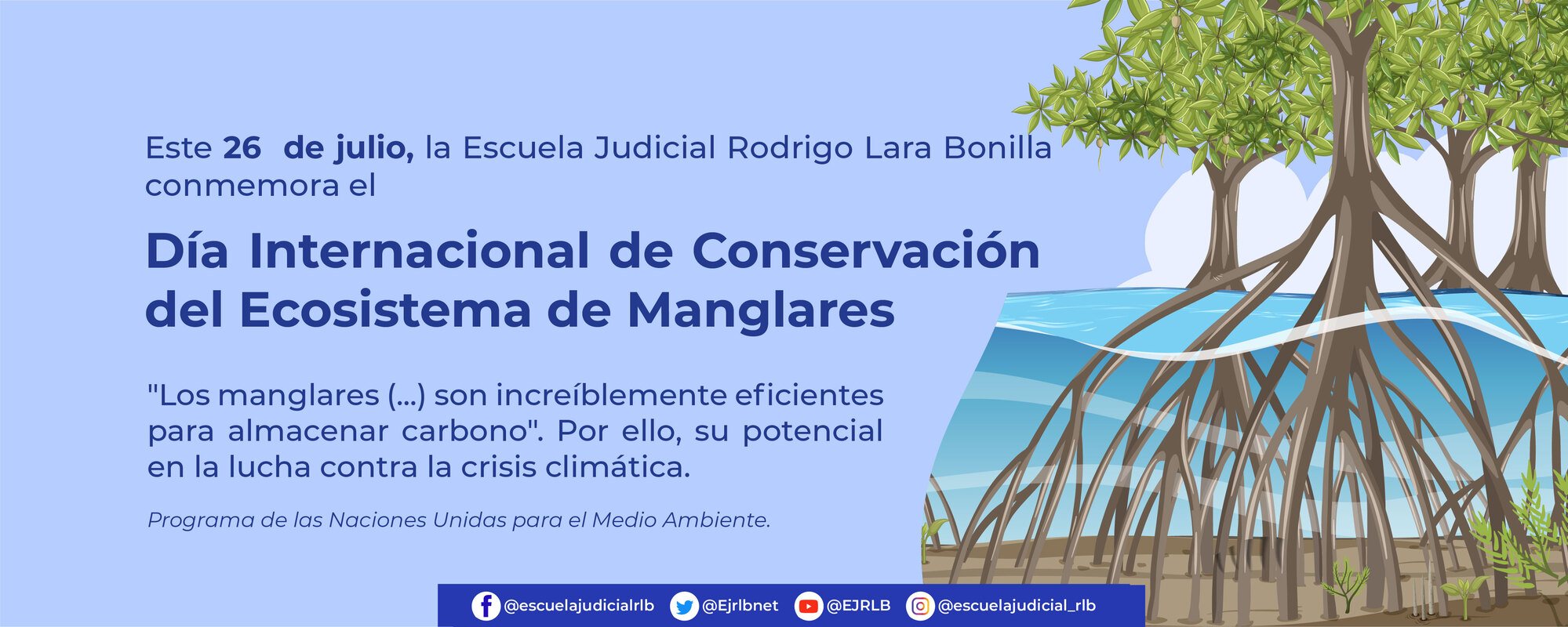 Manglar